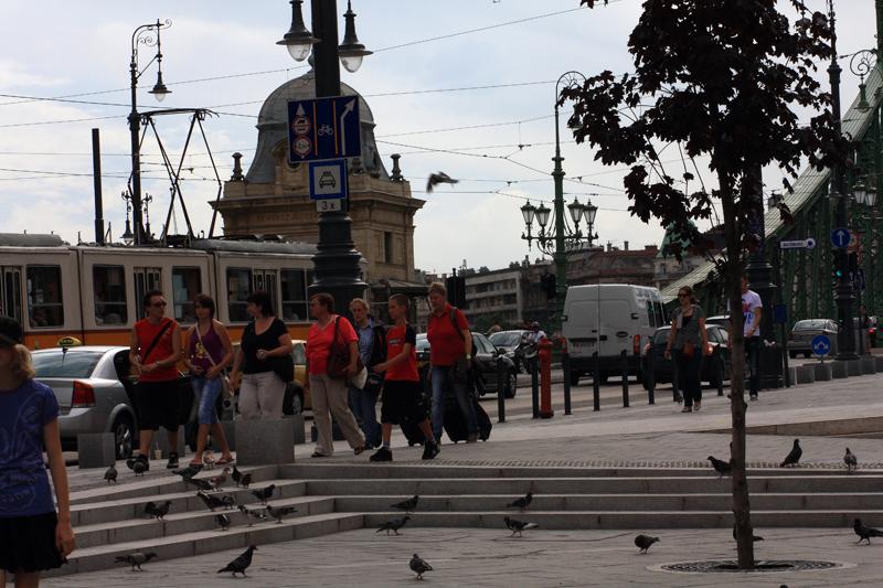 28-Budapest,12 agosto 2011.JPG